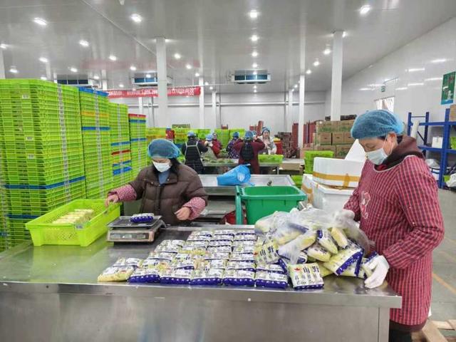 年味漸濃，果蔬禽畜開啟“春運”模式