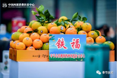 聚力消費扶貧高地，答好疫情加試題——重慶奉節(jié)初級農(nóng)產(chǎn)品突圍紀實